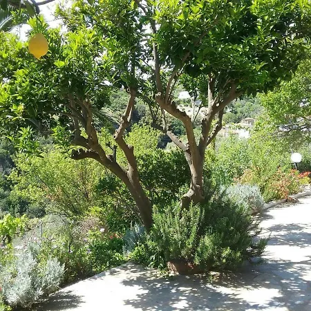 Paradise Found - A Greek Retreat With The View Γλώσσα