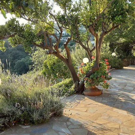 Paradise Found - A Greek Retreat With The View * Γλώσσα